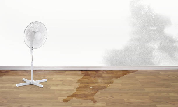 Best Carpet water damage restoration  in Lancaster, SC