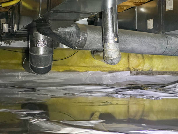 Best Local water damage restoration  in Lancaster, SC