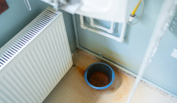 Best Mold removal after water damage  in Lancaster, SC