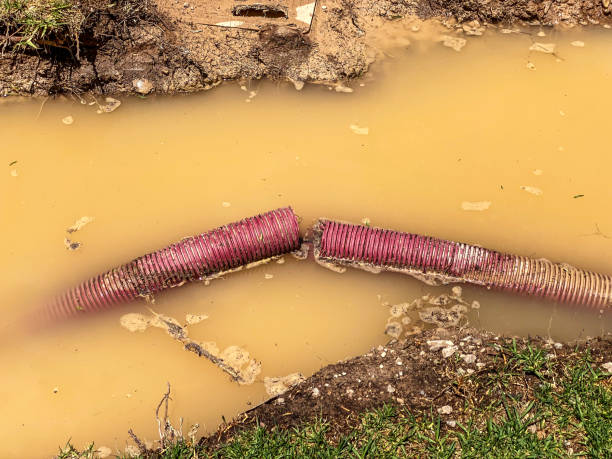 Trusted SC Water damage restoration Experts